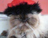 Red Hot Beret and Wild Side Collar