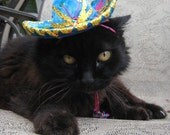 Black Cat in Turquoise Sombrero cat hat  8x12" photographic print
