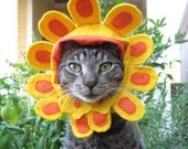 Late Bloomer flower hat for cats and dogs