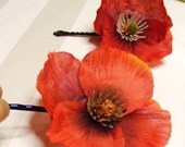 Playne Jayne - Poppy Love minis - duo o' reds