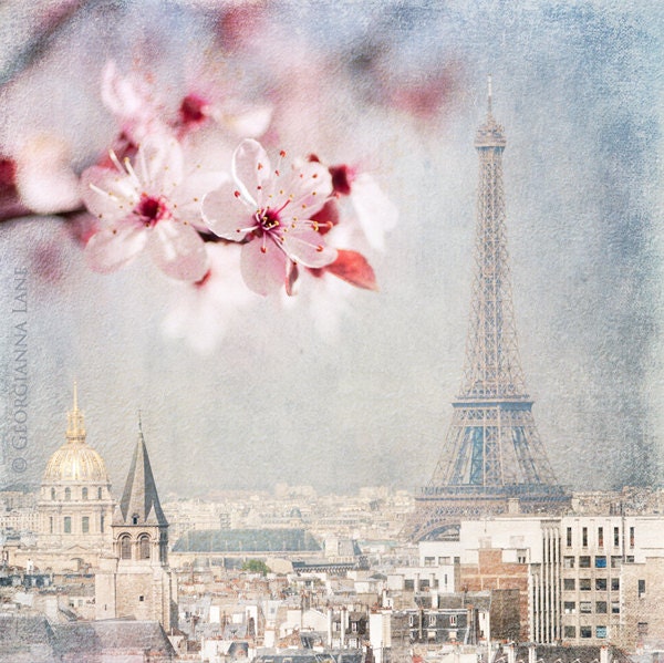 Paris Photograph - Paris Spring Blue -  Eiffel Tower with Plum Blossoms, Urban Home Decor, Wall Art