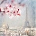 Paris Photograph - Paris Spring Blue - Eiffel Tower with Plum Blossoms, Urban Home Decor, Wall Art