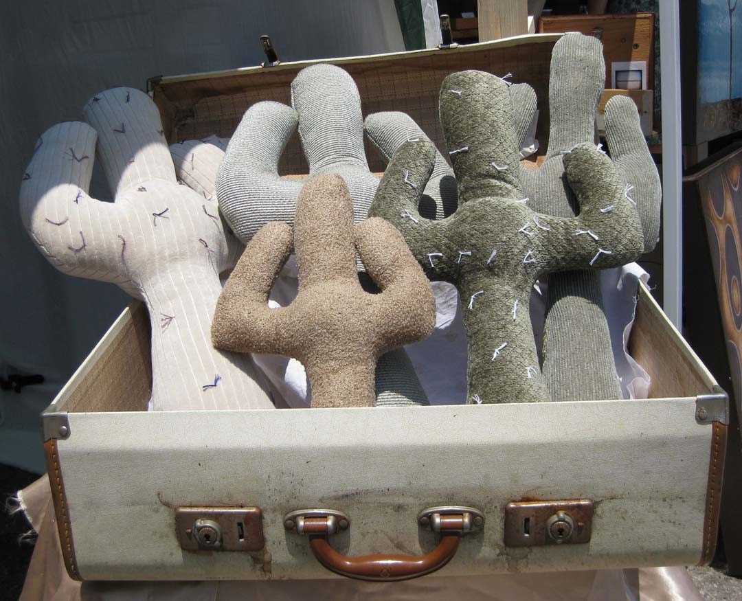 CACTUS MAGIC PILLOWS  All Your Dreams Come True