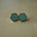 robin's egg mini brass hexagon stud earrings img