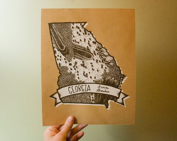Georgia State Bird- Brown Thrasher 8 x 10 Print