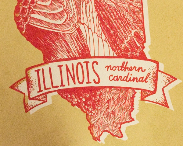 Illinois State Bird 8 x 10 Print
