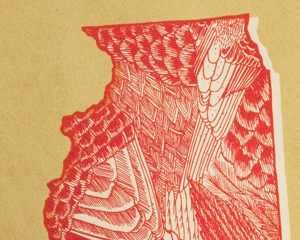 Illinois State Bird 8 x 10 Print