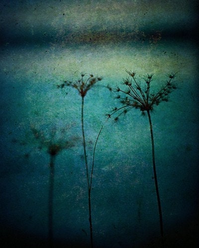 3 Mothers Fine Art Photography Print 16x20
