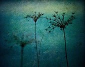 3 Mothers 8x10 Fine Art Photography Print