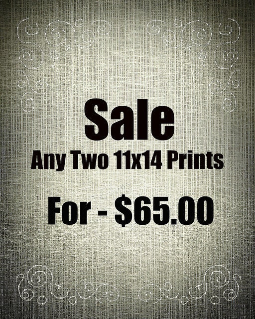 Fine Art Photography Prints - Any Two 11x14