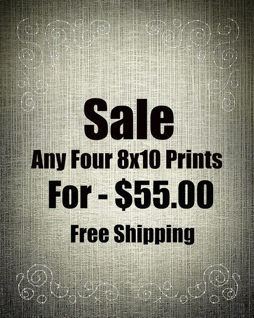Fine Art Photography - Any Four 8x10 Prints
