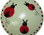 Light Green Base with Lady Bugs Knobs-Set of 4