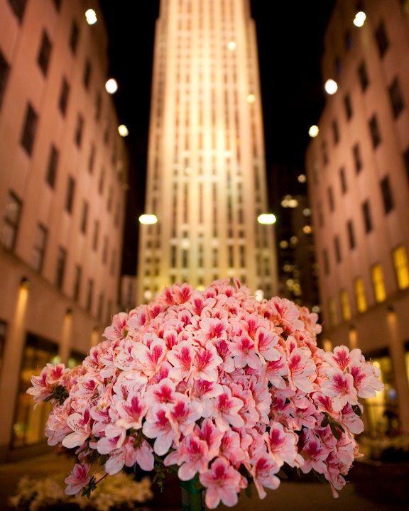 30 Rock flower bouquet - Rockefeller Center NYC night skyscrapers buildings pink decor home fine art New York - O'Keefe-esque