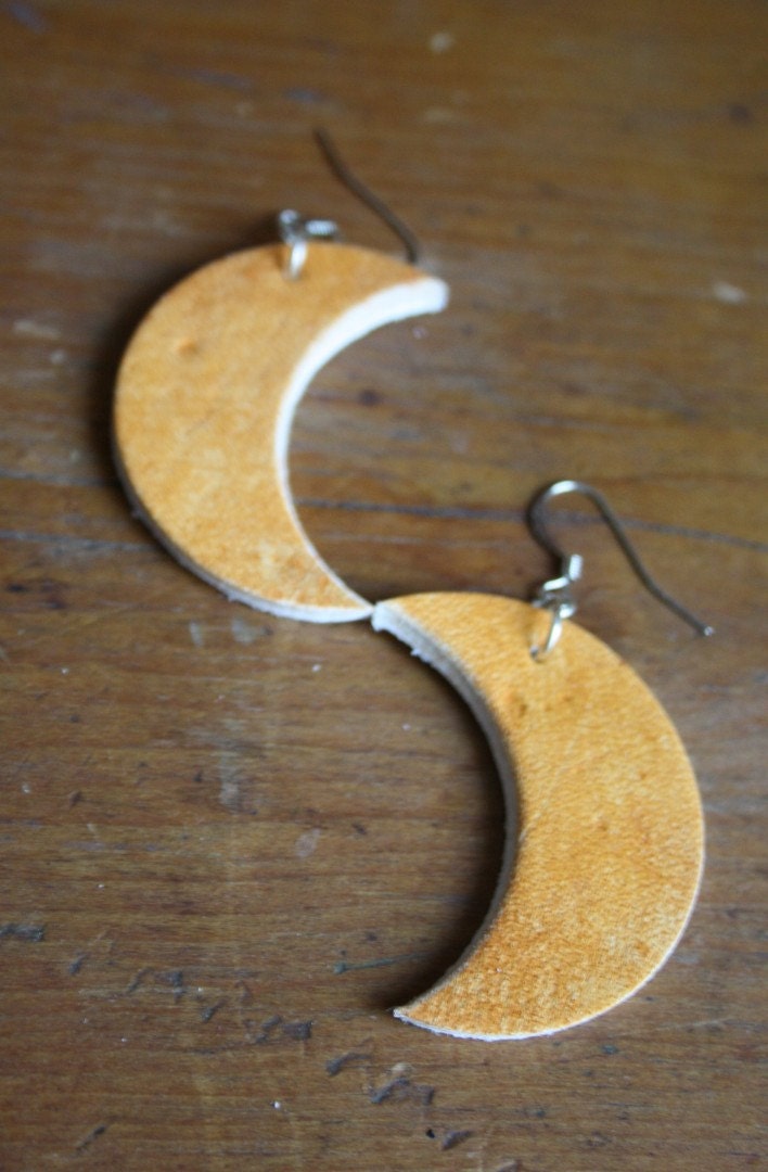 Half Moon over Dryden - Earrings