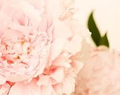 gift under 50 Flower photography flower photograph light pink peony fine art nature photo botanical print floral wall art nursery decor 8x8