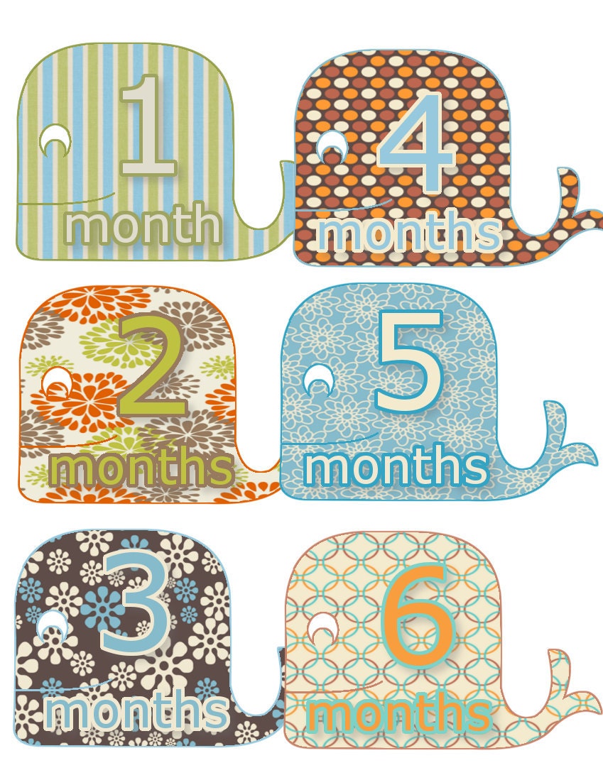 Monthly Onesie Stickers....Boy Whales Months 1-12...Blues, Orange, Greens...Waterproof..Uncut Read Description