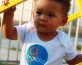 Monthly Onesie Stickers...Set of 12 Boys...Evan...Ready to Ship...Waterproof....Months 1-12