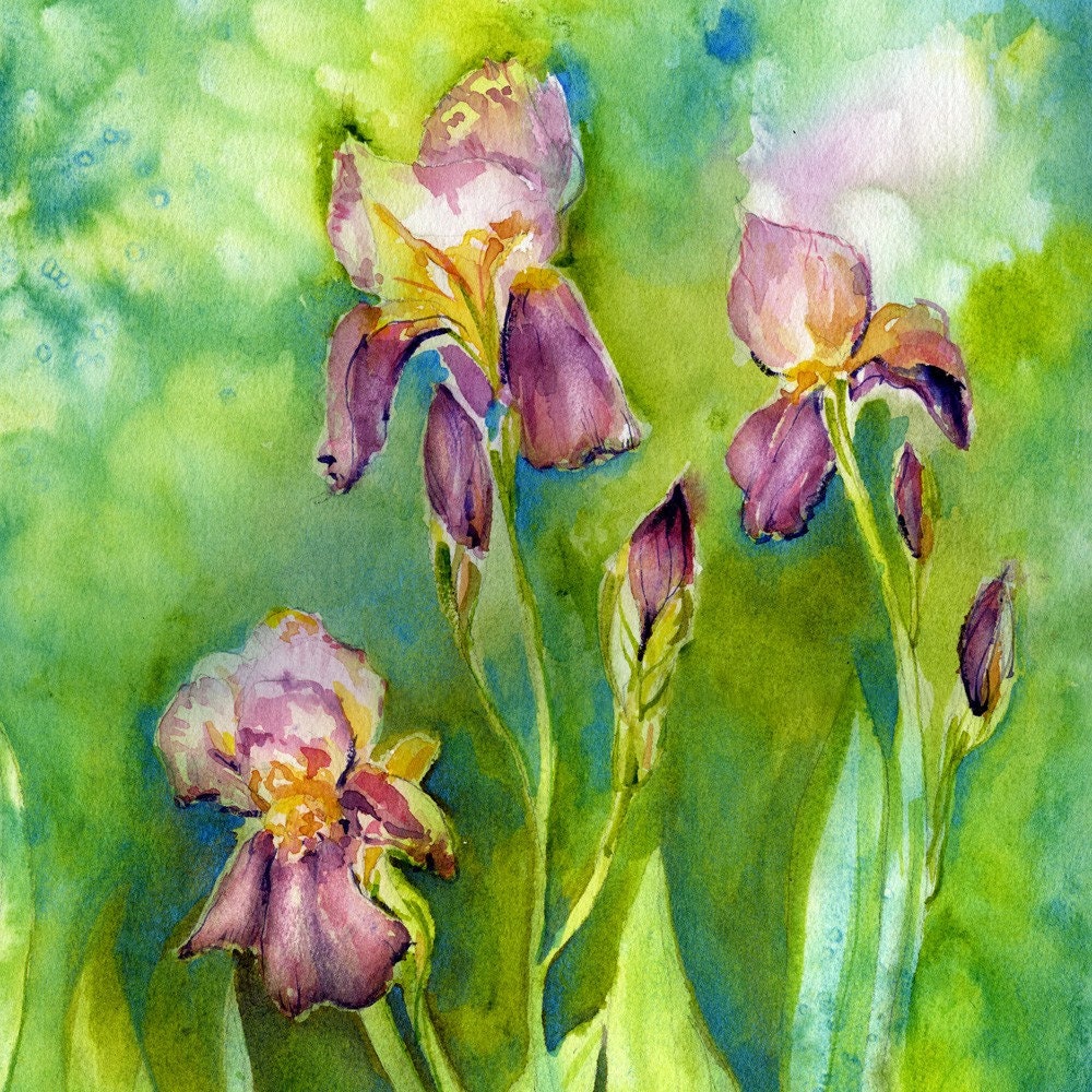 Iris Flower Art Watercolor Painting Giclee Print Spring Landscape Flower Painting Floral Art Garden Art Watercolor Flowers 8 x 10
