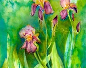Iris Original Watercolor painting fine art Flowers artwork wall home decor Flower illustration Garden art