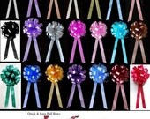 10 Wedding Pull Pew Bow White Ivoy Black Red Yellow Silver Purple Pink Blue Brown Gold Orange Teal Green Fuchsia Flower PB159
