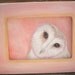 WISDOSM - Original Owl Painting - framed