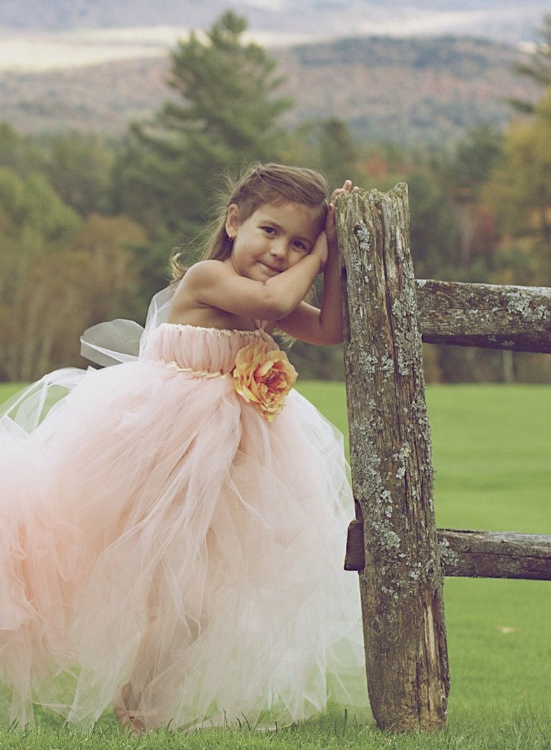 Peaches and Dreams Tutu Dress- SZ 3-5 YRS