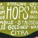 Detailed Beer Diagram - "Know what you drink" Beer Poster
