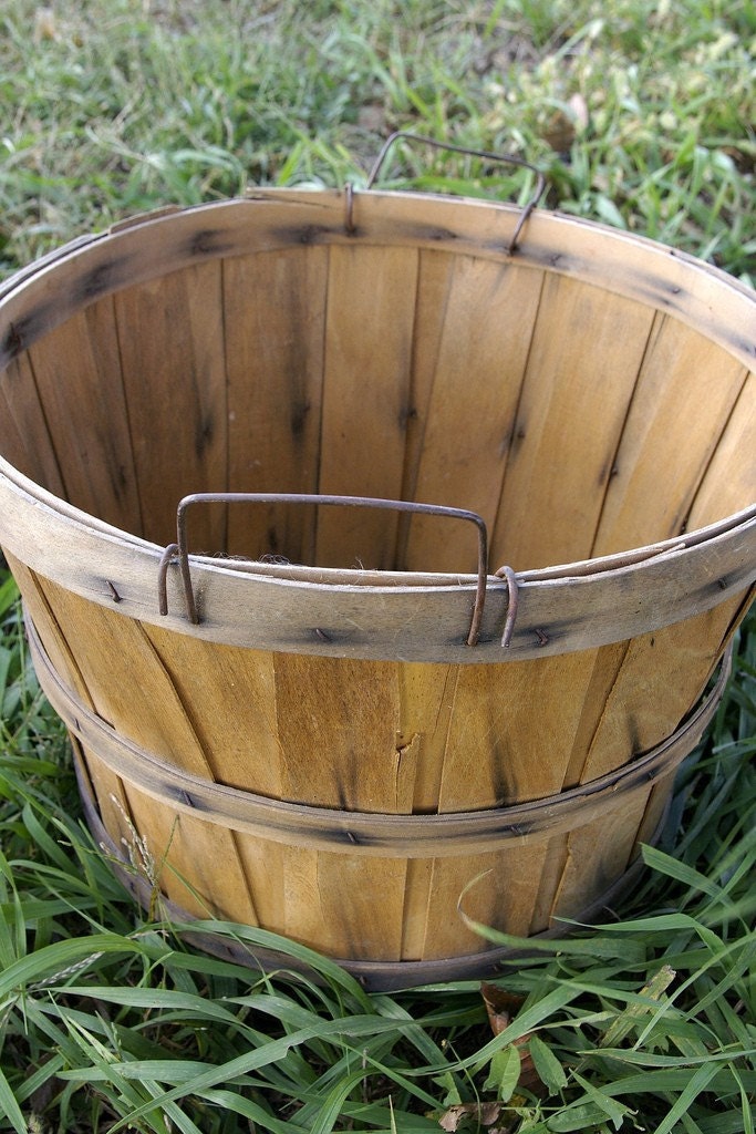Fruit Bushel Basket