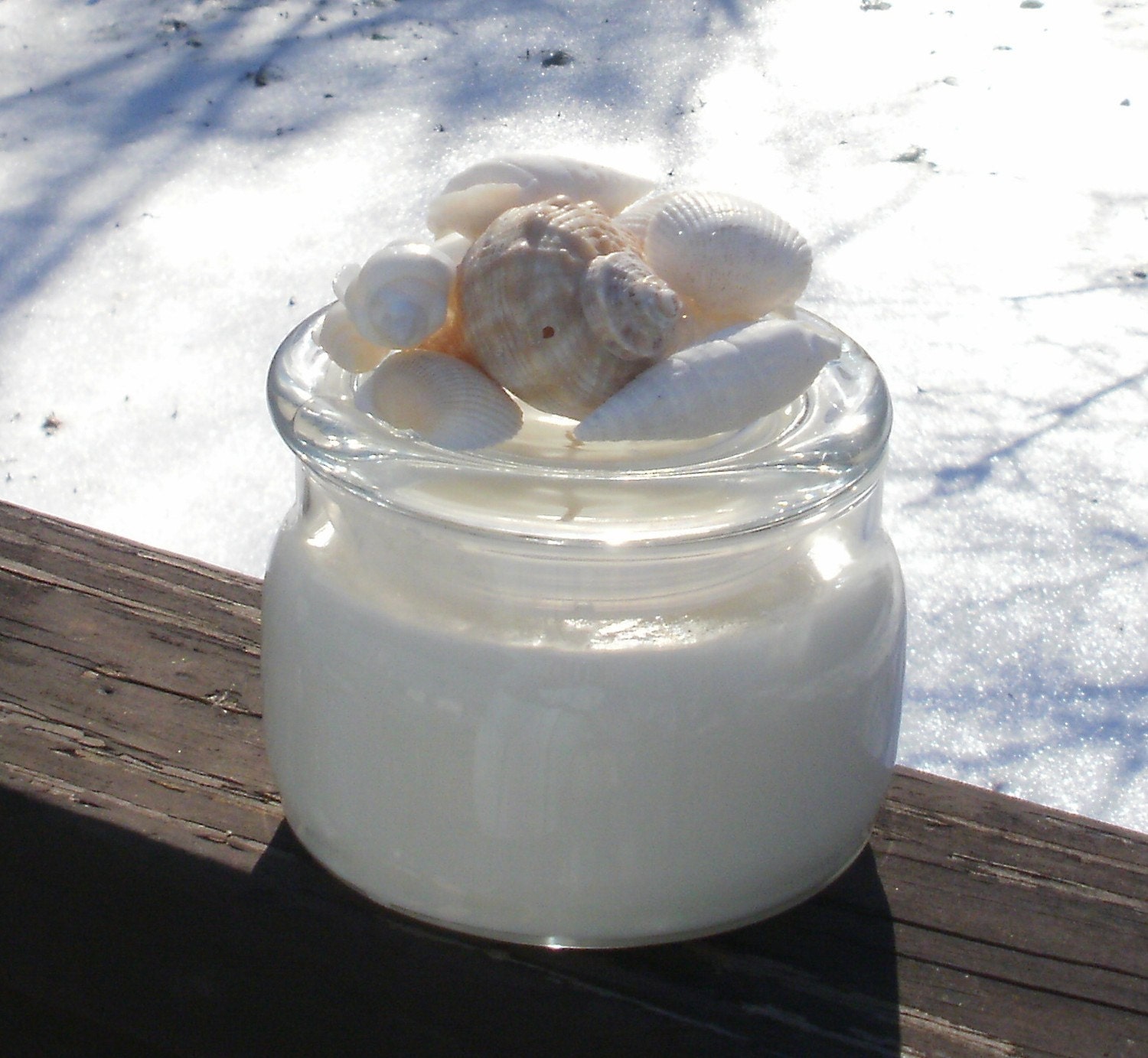 Sea Shell Soy Candle in Cucumber Melon by Silk N Lights Designs