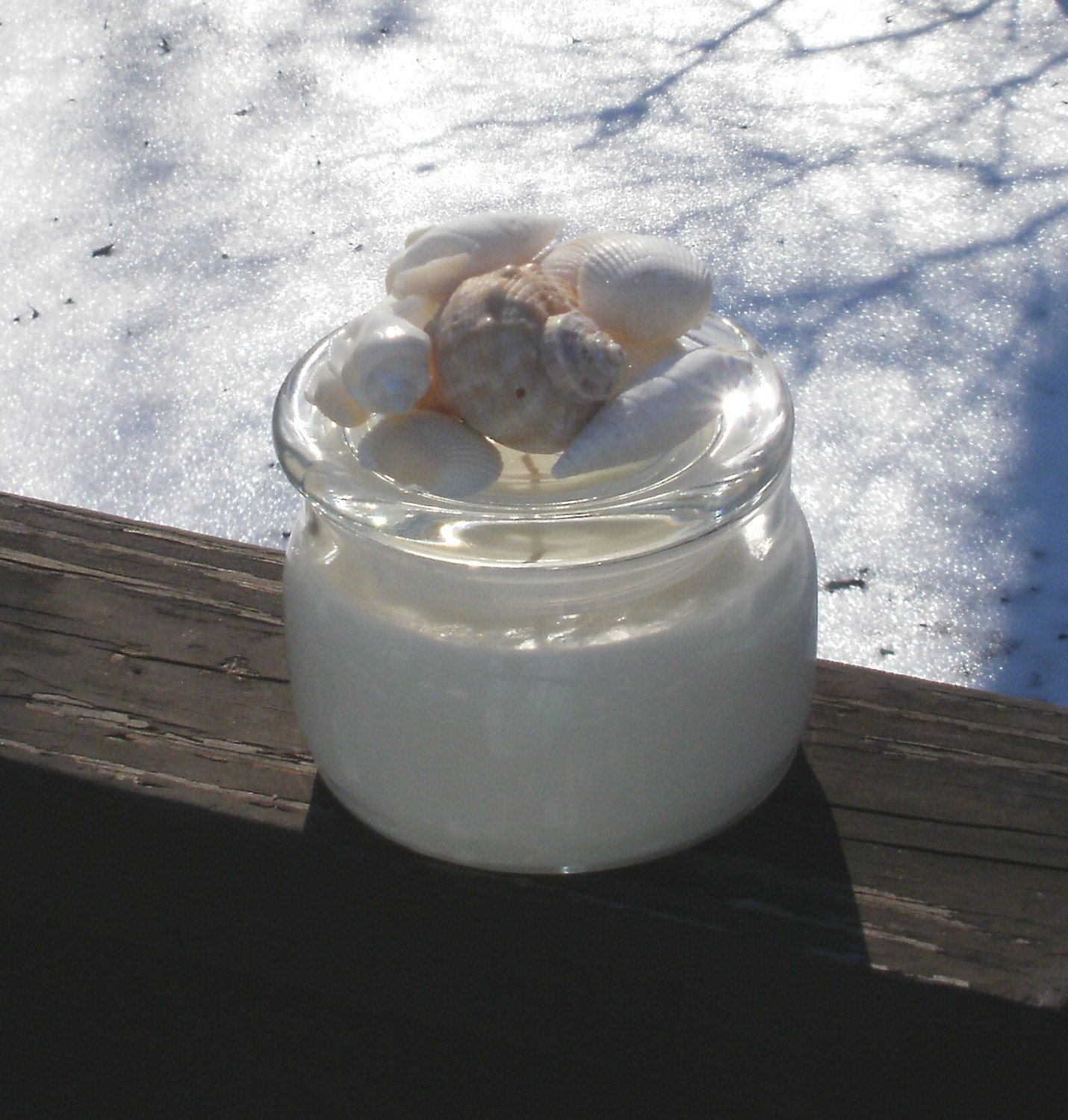 Sea Shell Soy Candle in Hawaiian Mist by Silk N Lights Designs