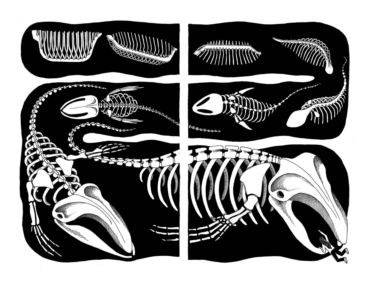 Illustration from In the Sounds and Seas: Archival Quality Digital Print