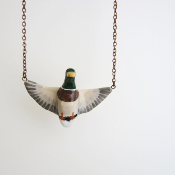 Anas platyrhynchos (Mallard) in flight