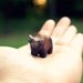 Buffalo  pocket totem figurine