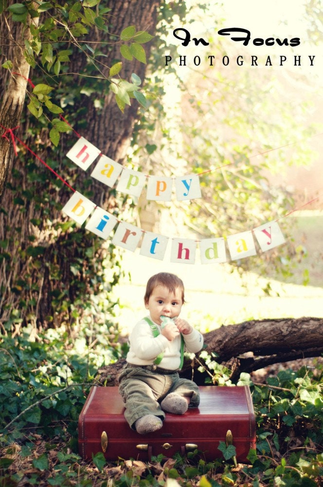 Happy Birthday Banner 2 Piece Garland Shabby Chic Multi Color Custom Wood Sign