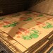 The Looking Glass Garden Screen Print