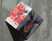 Venison Card Case