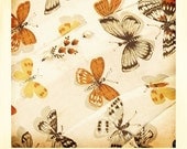 Pearl 8x10 Fine Art Print Butterfly Polaroid Inspired Print--Apartment Home Decor
