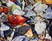 Treasure Watercolor Reproduction- Hidden In Fall Leaves- Realistic Still Life- Red Grey Blue 12x16