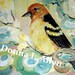 Original Western Tanager and Florals Expressionism  12 x 12 Acrylic and Impasto Painting