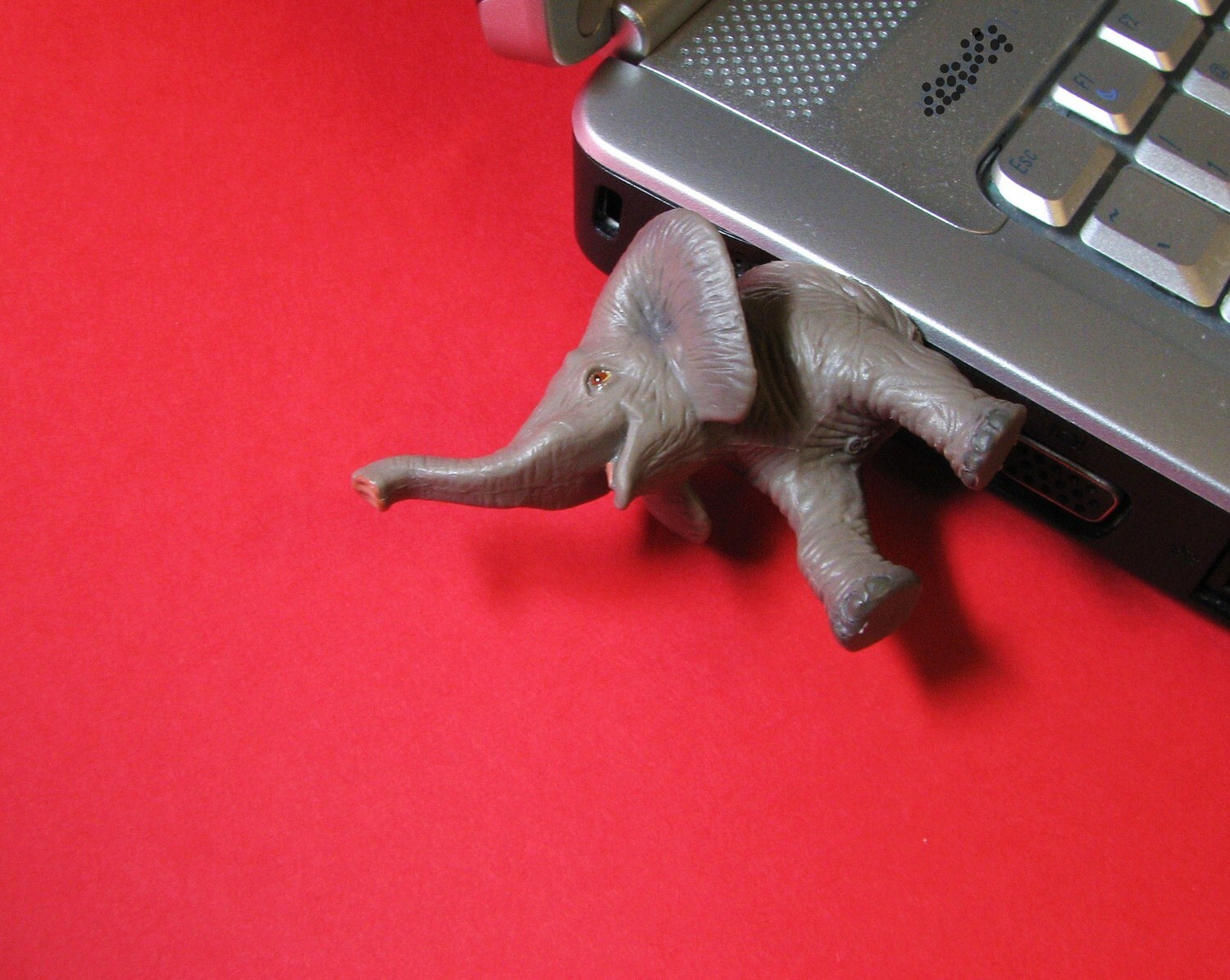 elephant usb