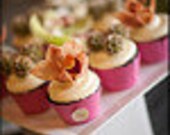 Customized Colors Cupcake Wrappers for Weddings and Celebrations