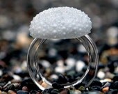 Sea Urchin Jewelry Resin Ring Resin Jewelry Minimal Jewelry Gray Ring Seashell Jewelry Nature Jewelry