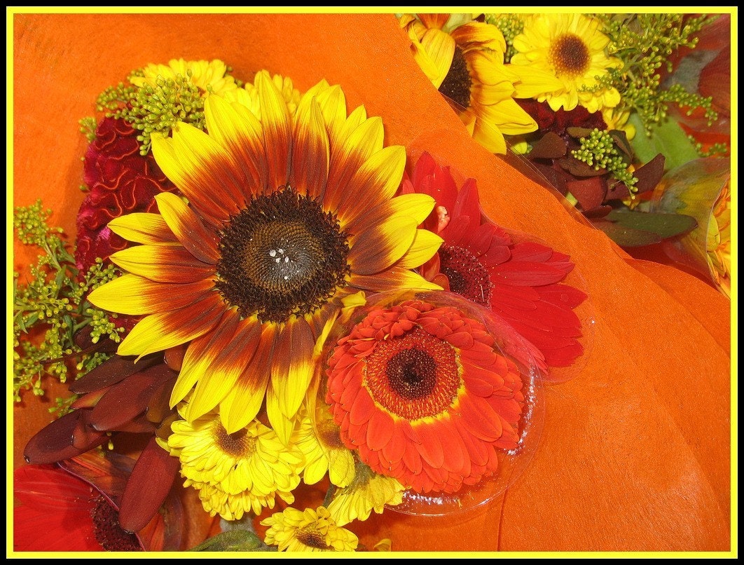 Photograph Blank Greeting Card Sunflower Melody