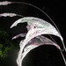 OOAK Iridescent Lavendar Jonnie Faerie Fairy Fae Wings Cosplay Renaissance Halloween