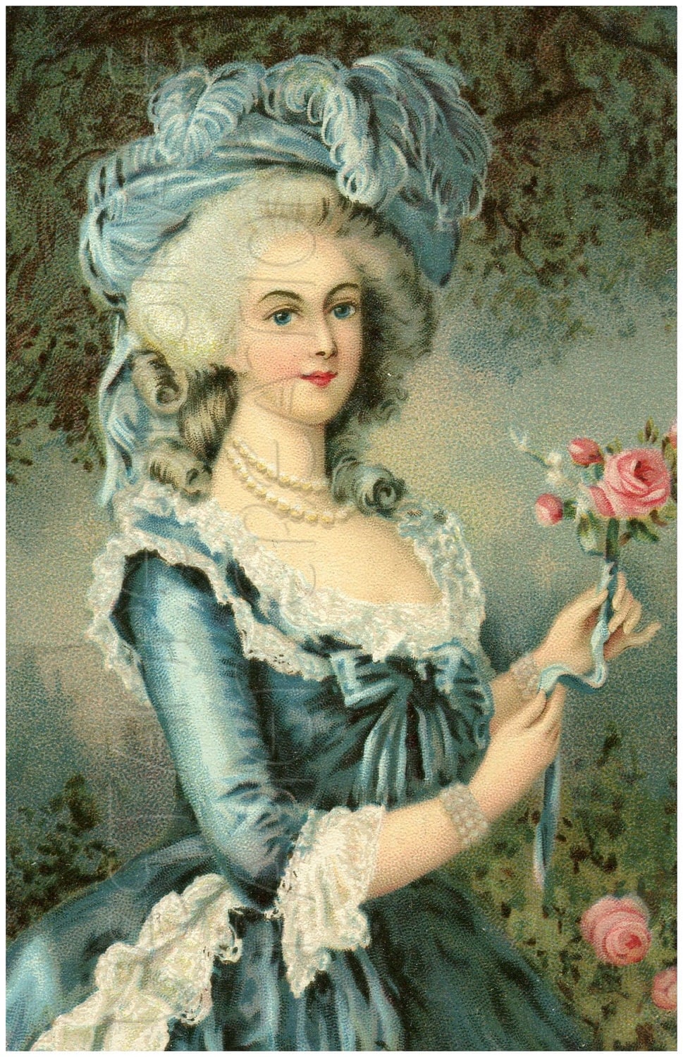 Marie Antoinette Rose