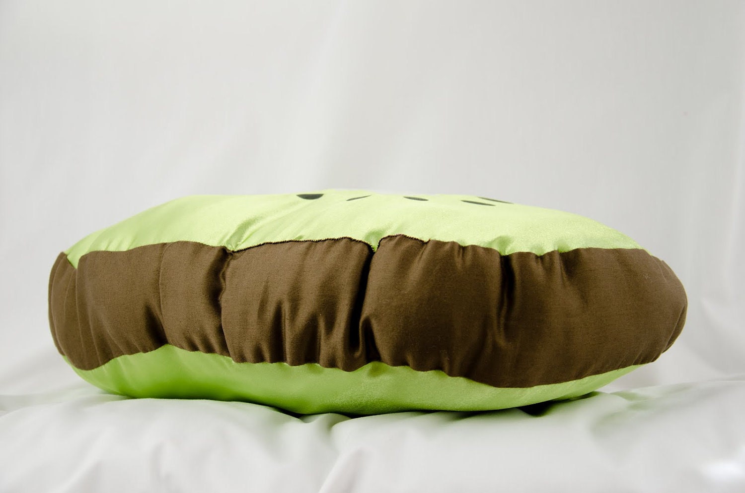 Kiwi Slice Pillow