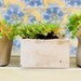 Indoor/Outdoor and Awesome Concrete Planter -Square-