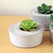 Indoor/Outdoor and Awesome Concrete Planter -Square-