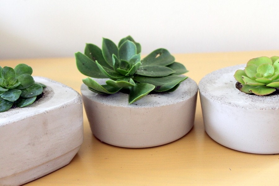 Indoor/Outdoor and Awesome Concrete Planter -Square-