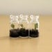 Three Itty Bitty Terrariums